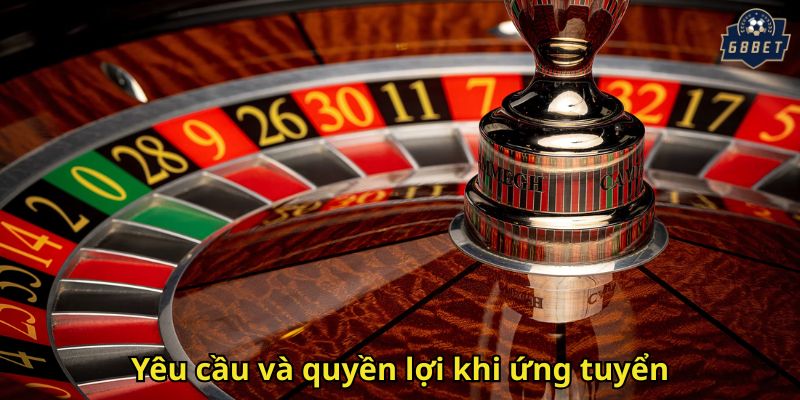 Yêu cầu và quyền lợi khi ứng tuyển